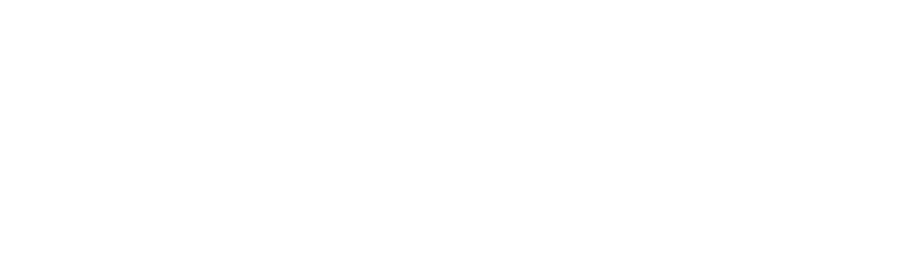 acesso saude logo