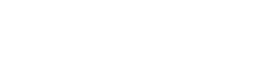 sorrix logo